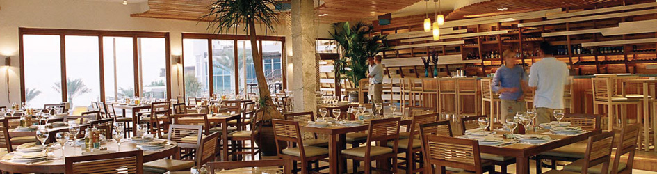 تور دبی هتل دبی مارین بیچ - آژانس هواپیمایی و مسافرتی آفتاب ساحل آبی  